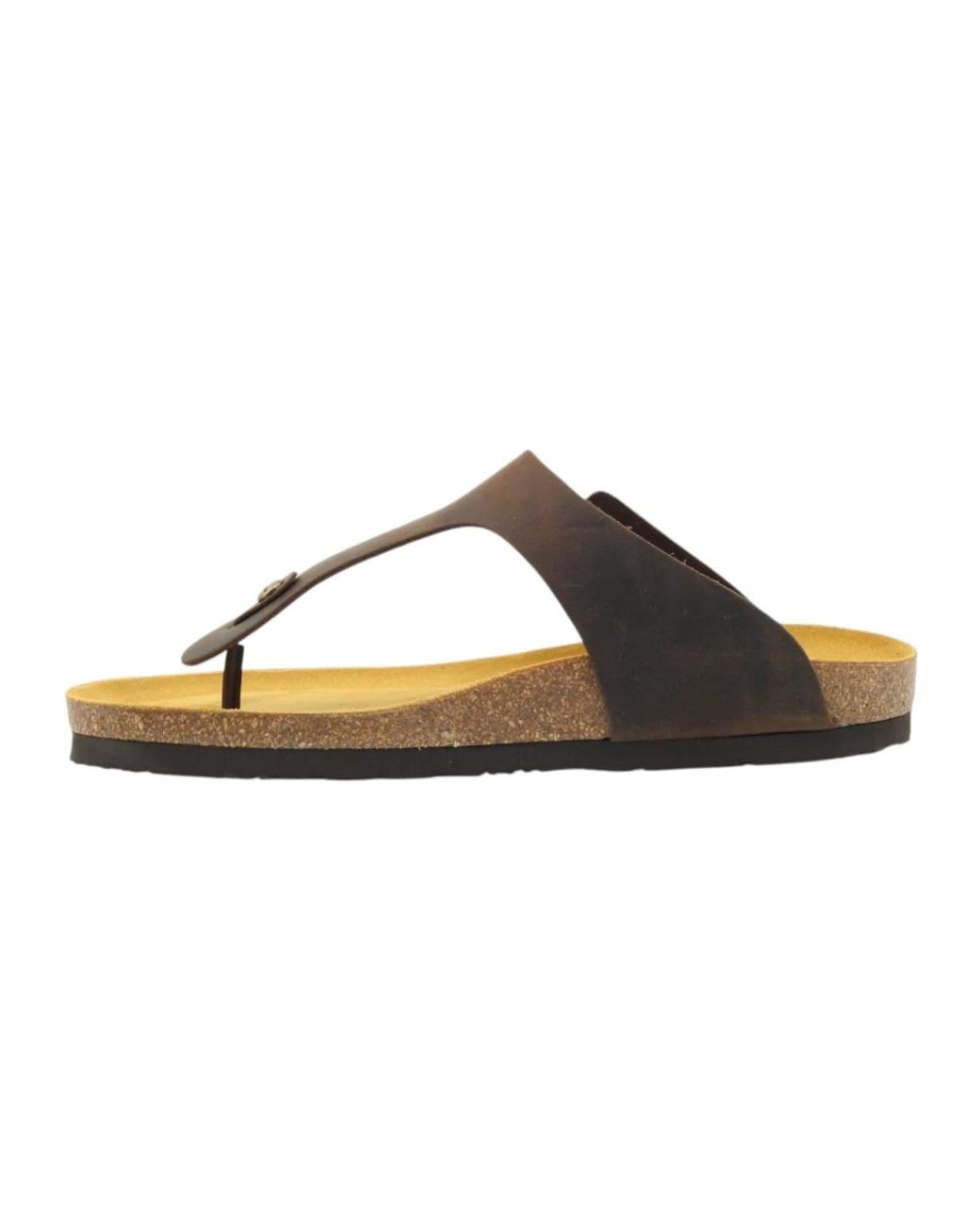 Frau Brown Flip Flops for men