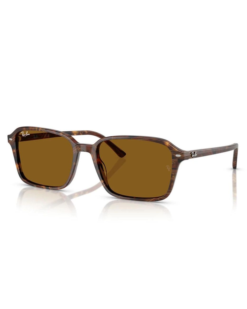 Ray-Ban Brown Sunglasses