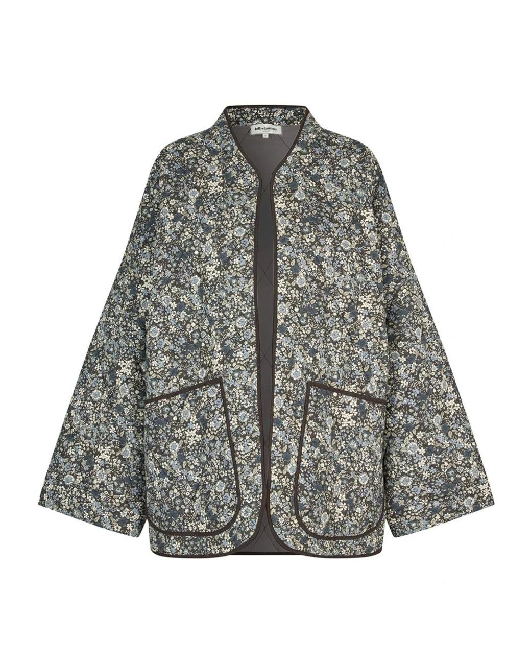Lolly's Laundry Jassen ,Veelkleurig ,Katoen Amby Ll Jacket in het Gray