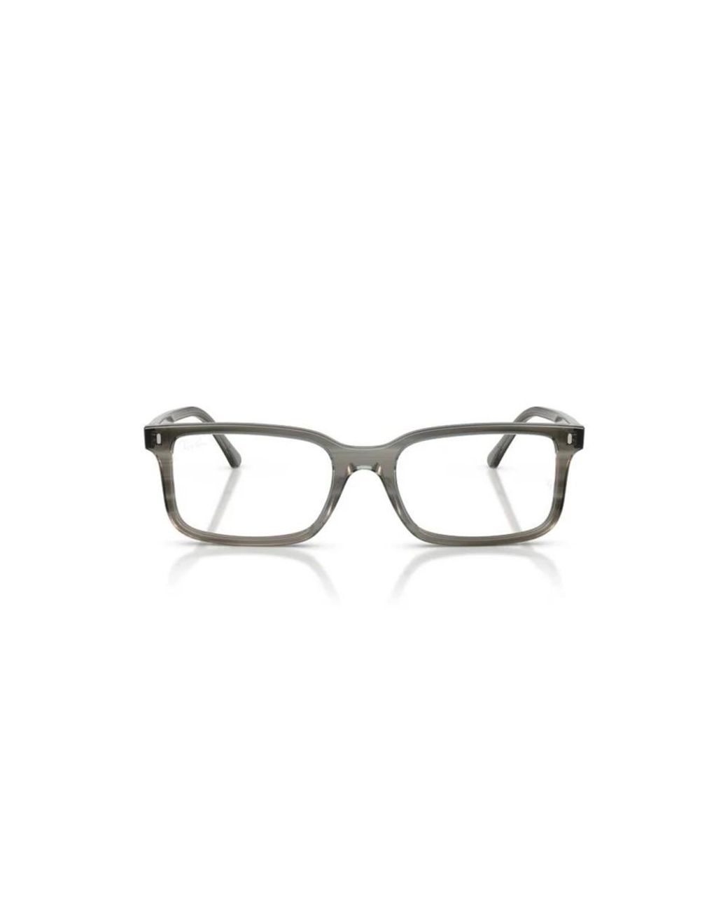 Ray-Ban Brown Glasses
