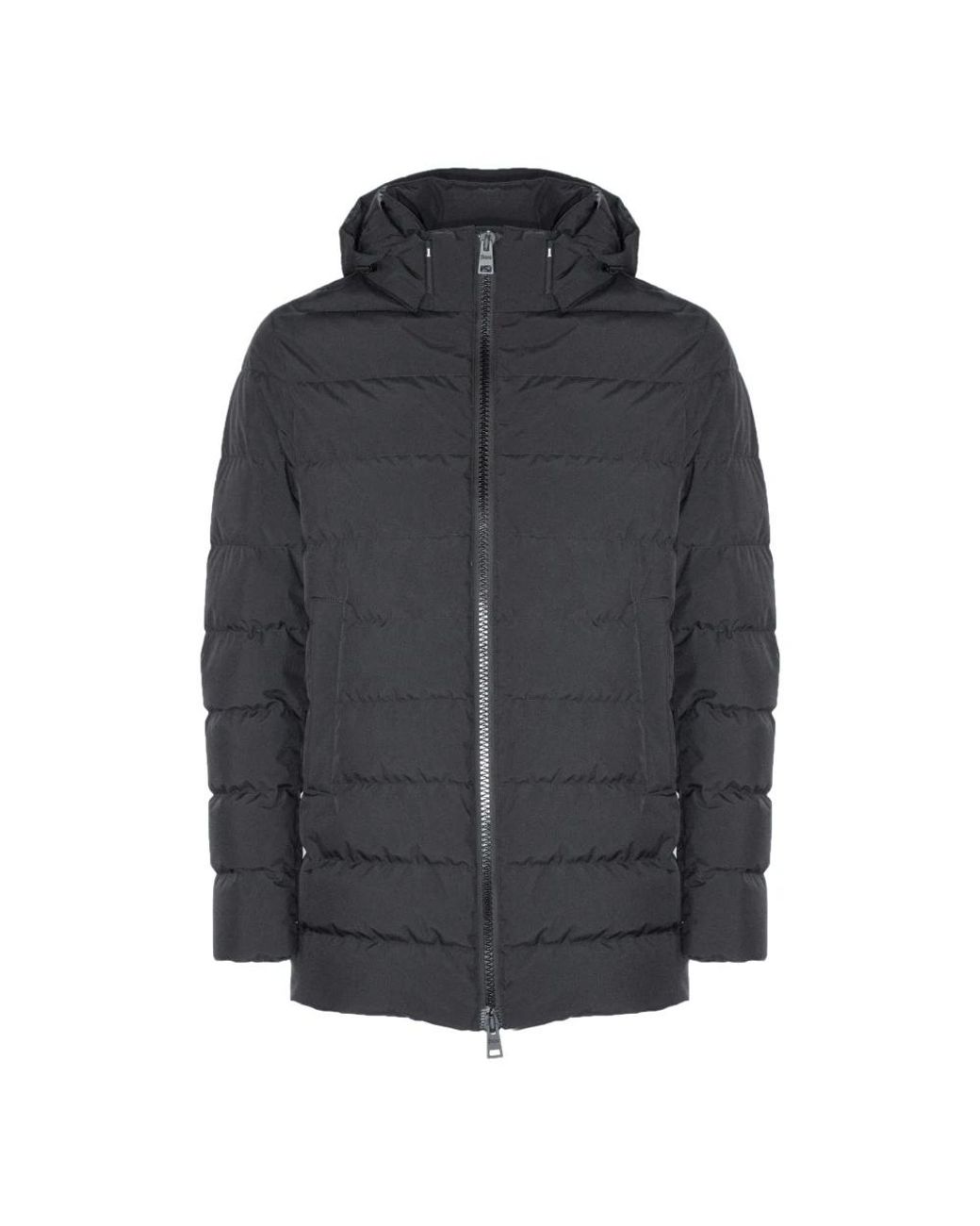 Herno Jassen ,Zwart ,Zwarte Donsjas Met Capuchon in het Gray voor heren