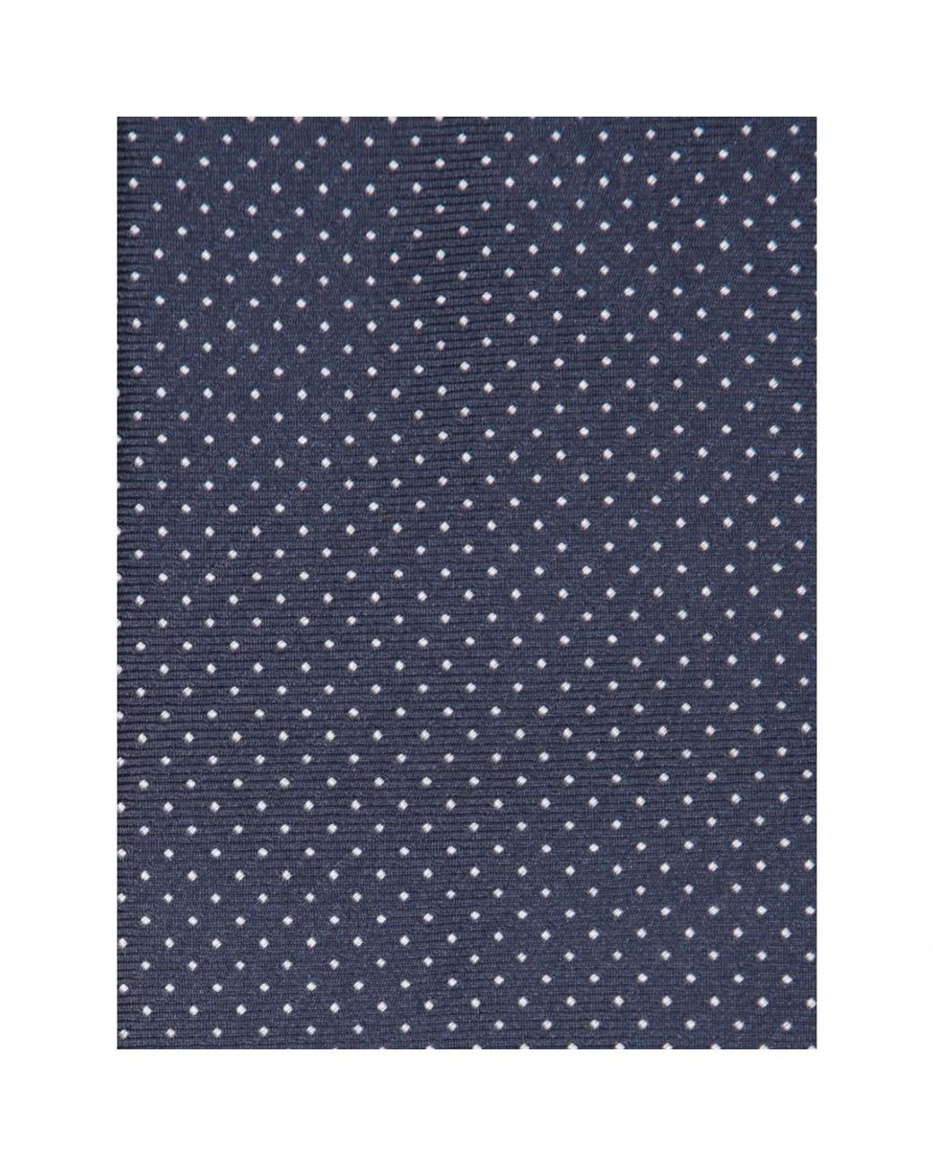 Dell'Oglio Blue Ties for men