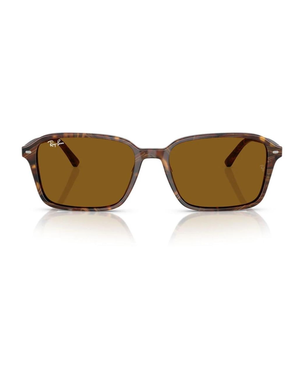 Ray-Ban Brown Sunglasses
