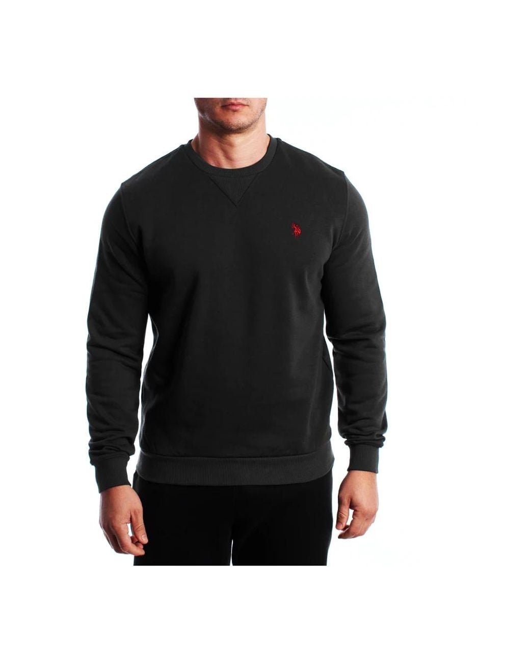 U.S. POLO ASSN. Black Round-Neck Knitwear for men