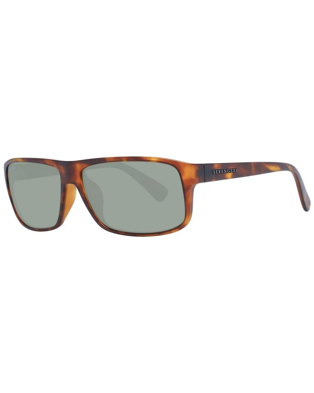 Serengeti Brown Sunglasses for men