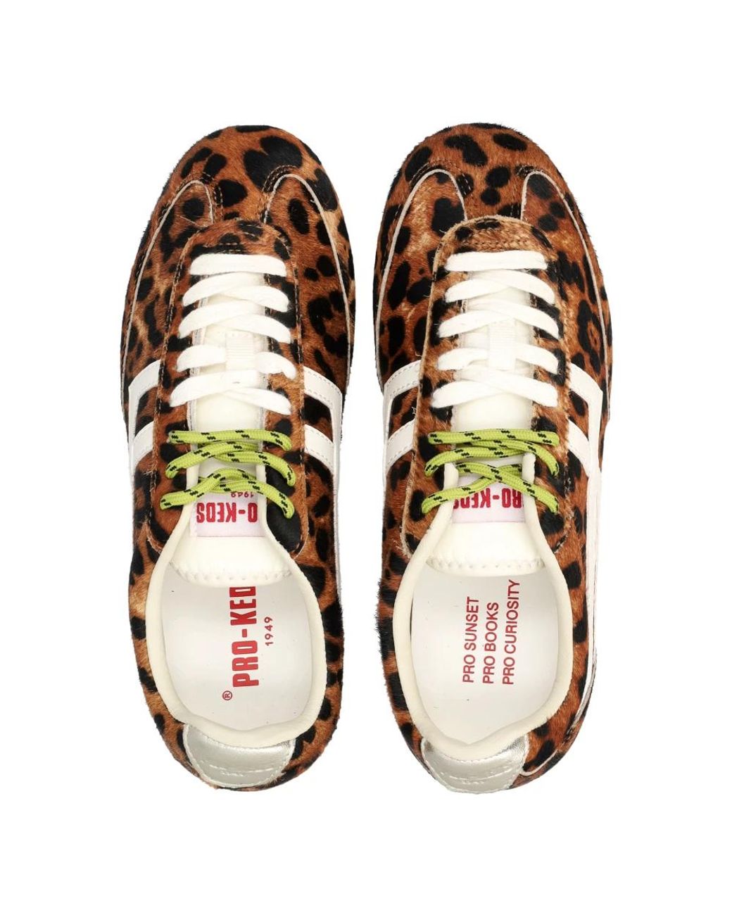 Sneakers di Pro Keds in Brown