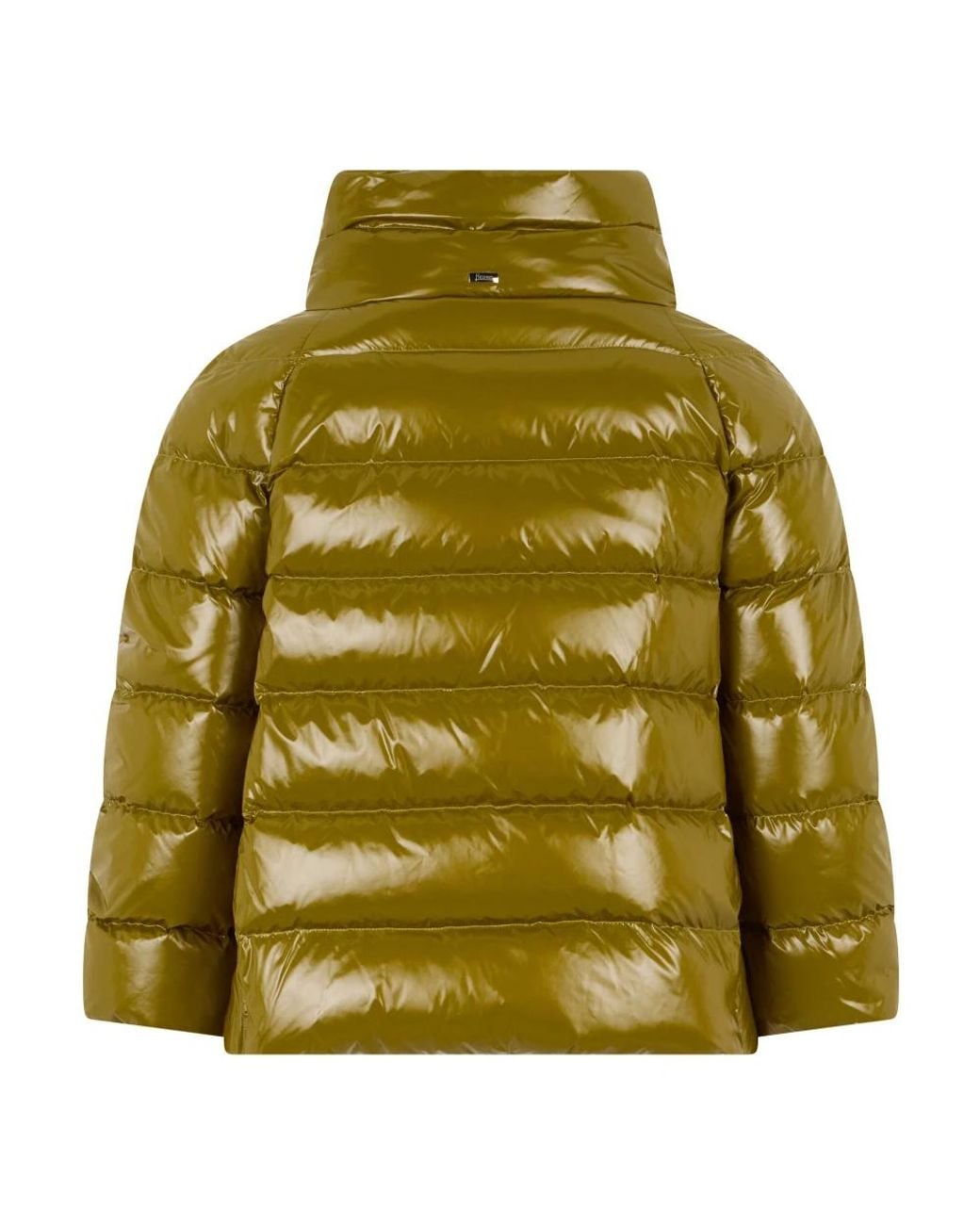 Winter Jackets Herno de color Green
