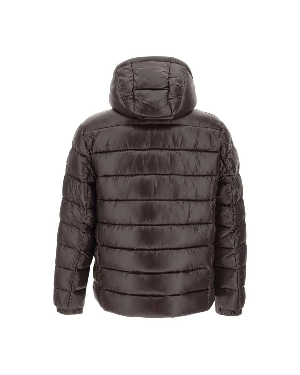 Winter Jackets Save The Duck de hombre de color Gray