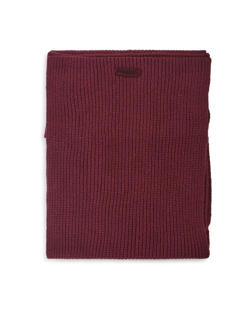 Pinko Purple Winter Scarves