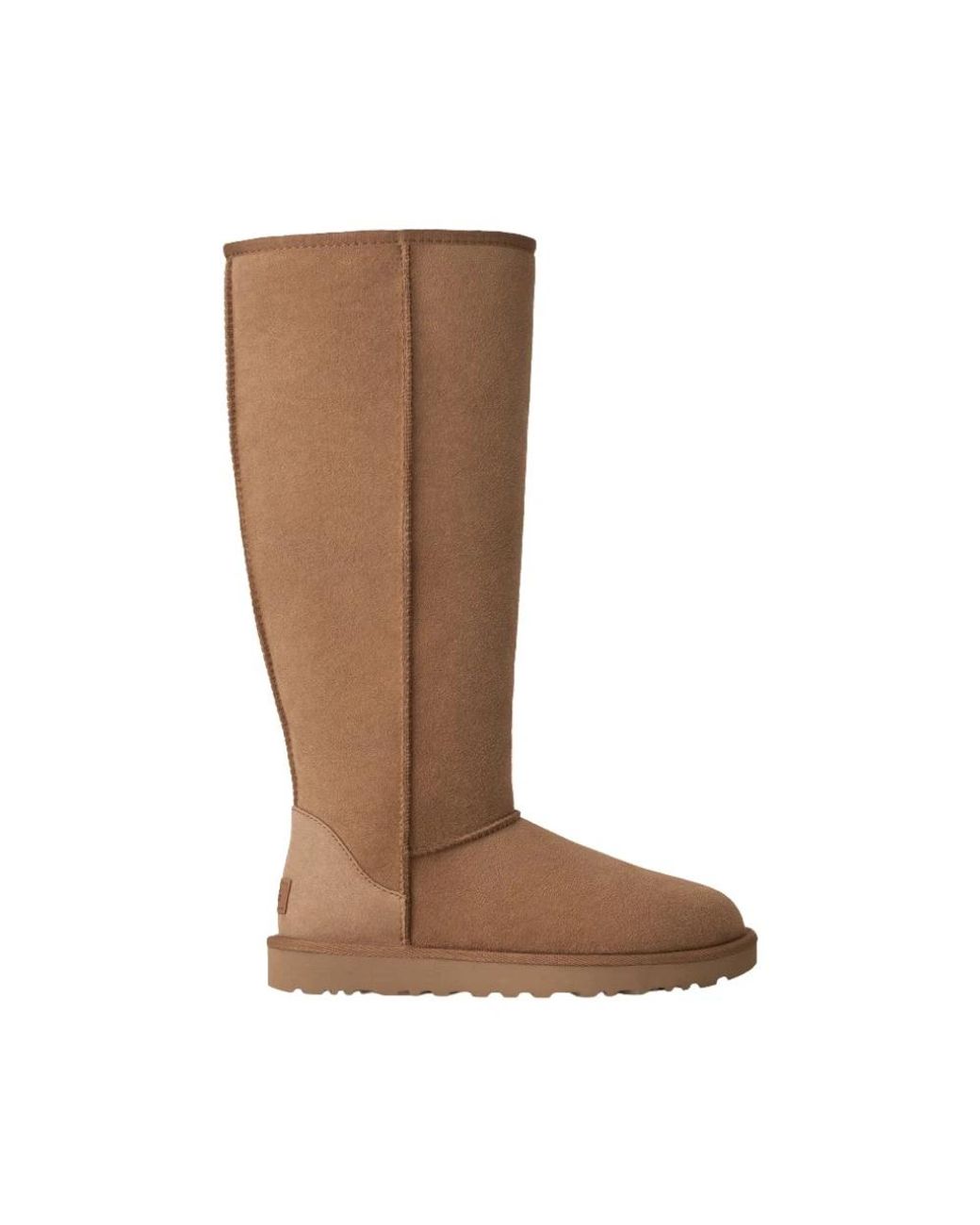 High Boots Ugg en coloris Brown