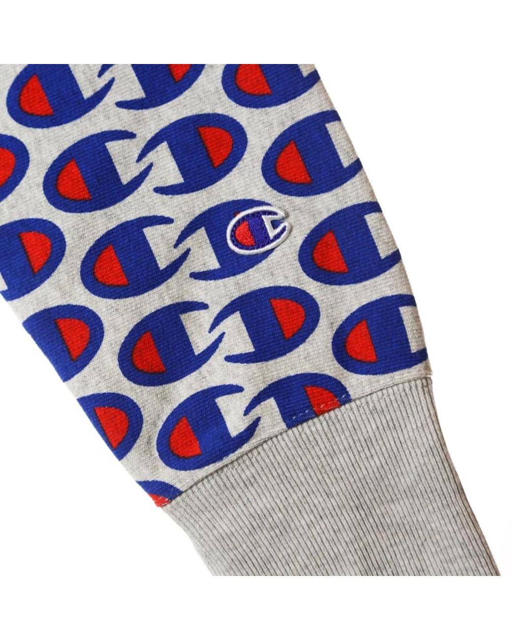 Champion Blue Sweatshirts for men