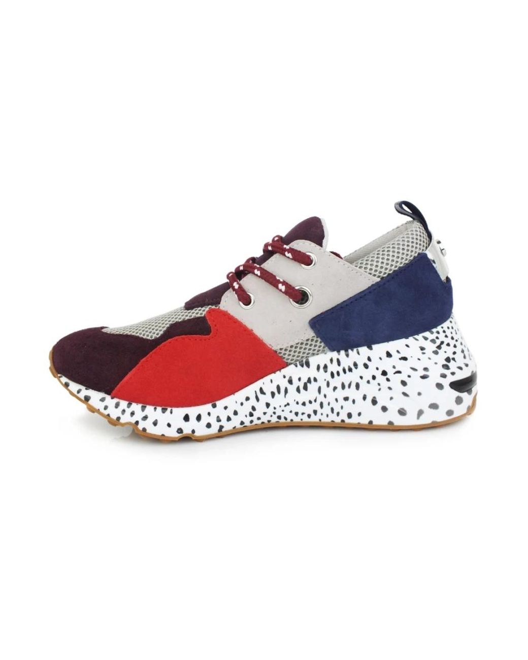 Steve Madden Schoenen ,Veelkleurig ,Leer Cliff Sneaker in het Blue