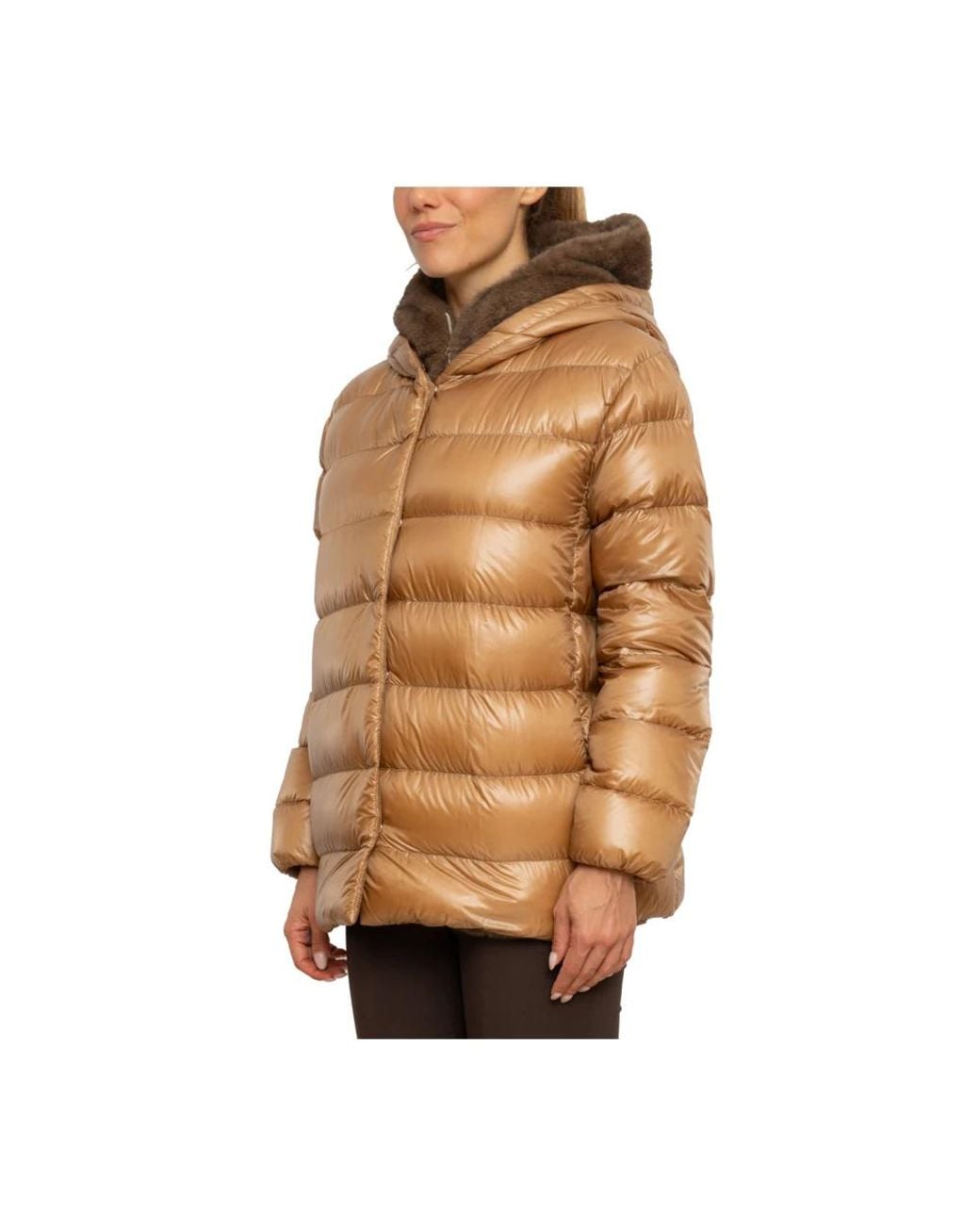 Down Jackets di Herno in Brown