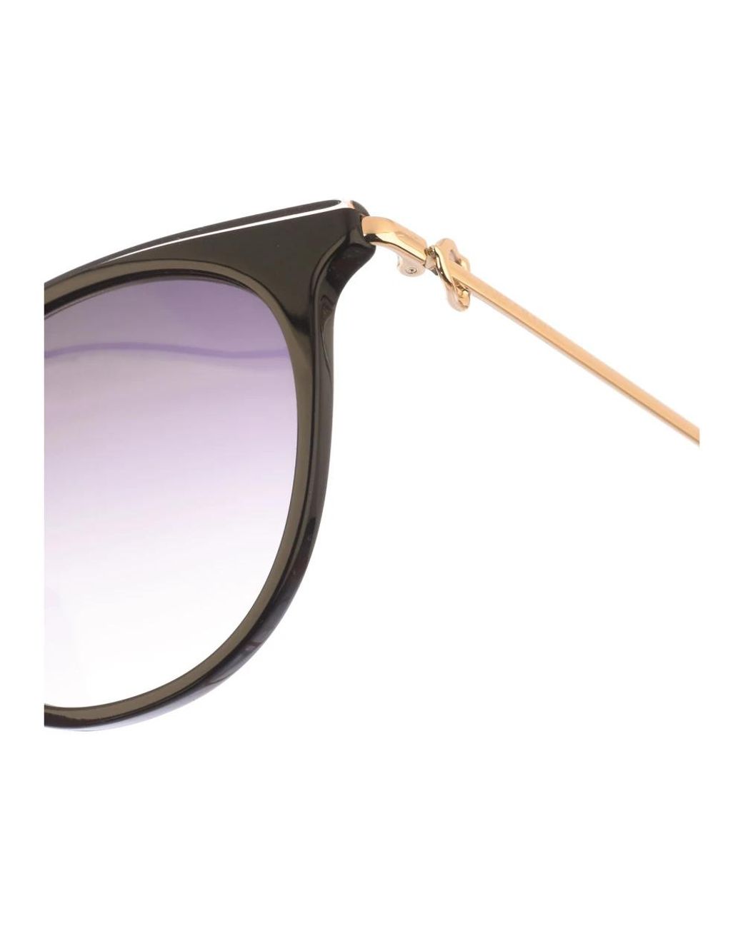 Longchamp Brown Sunglasses