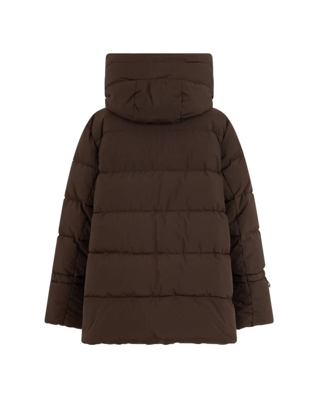 Winter Jackets di Moorer in Brown