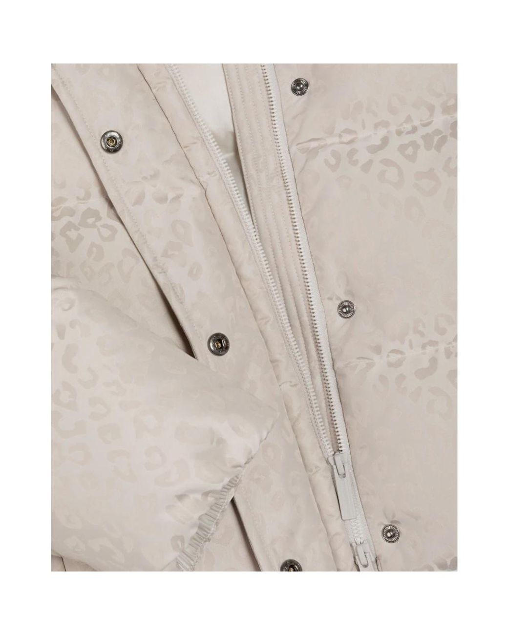 Ski Jackets Colmar en coloris Gray