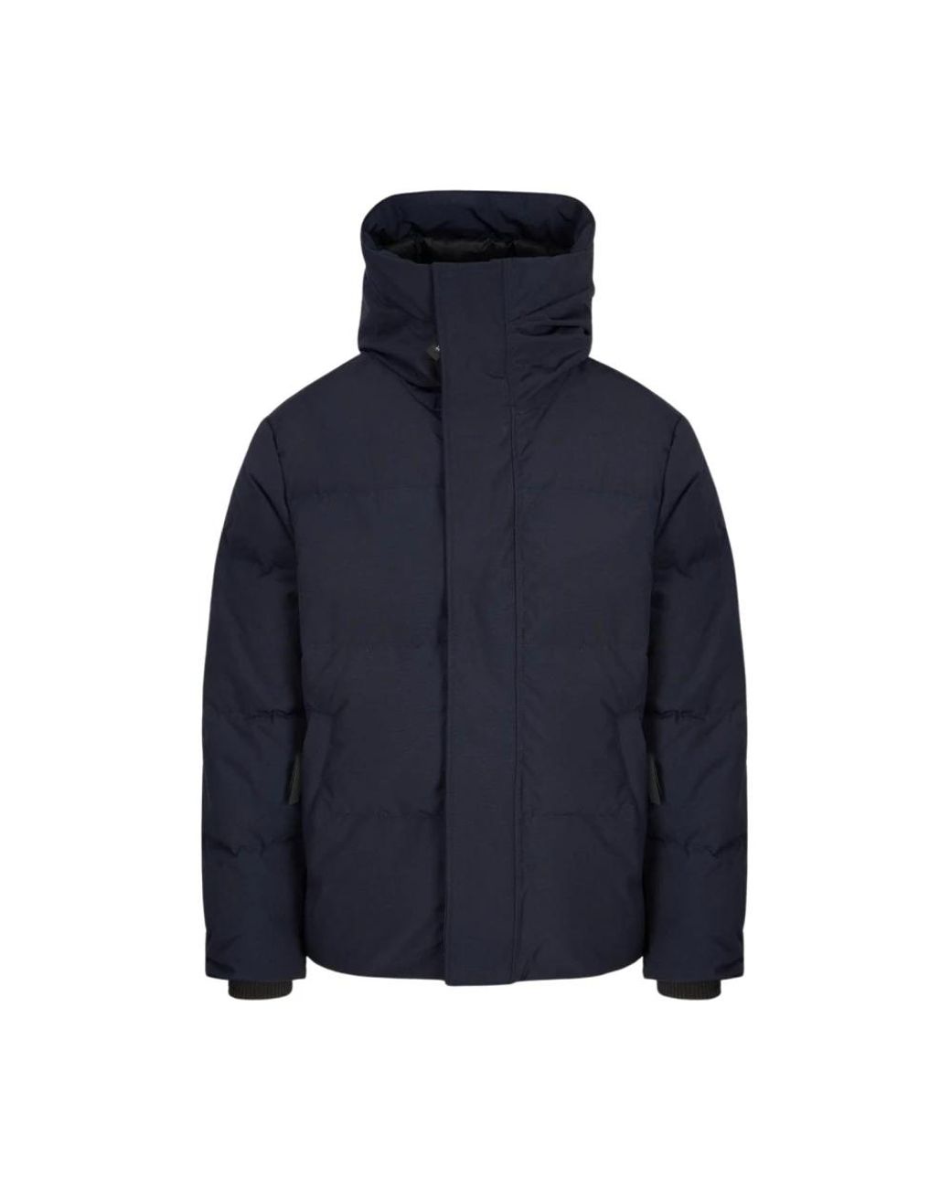 Canada Goose Blue Winter Jackets for men