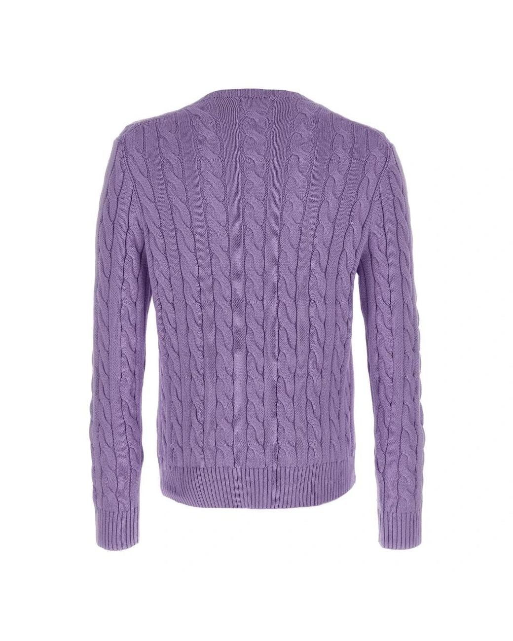 Polo Ralph Lauren Purple Round-Neck Knitwear for men