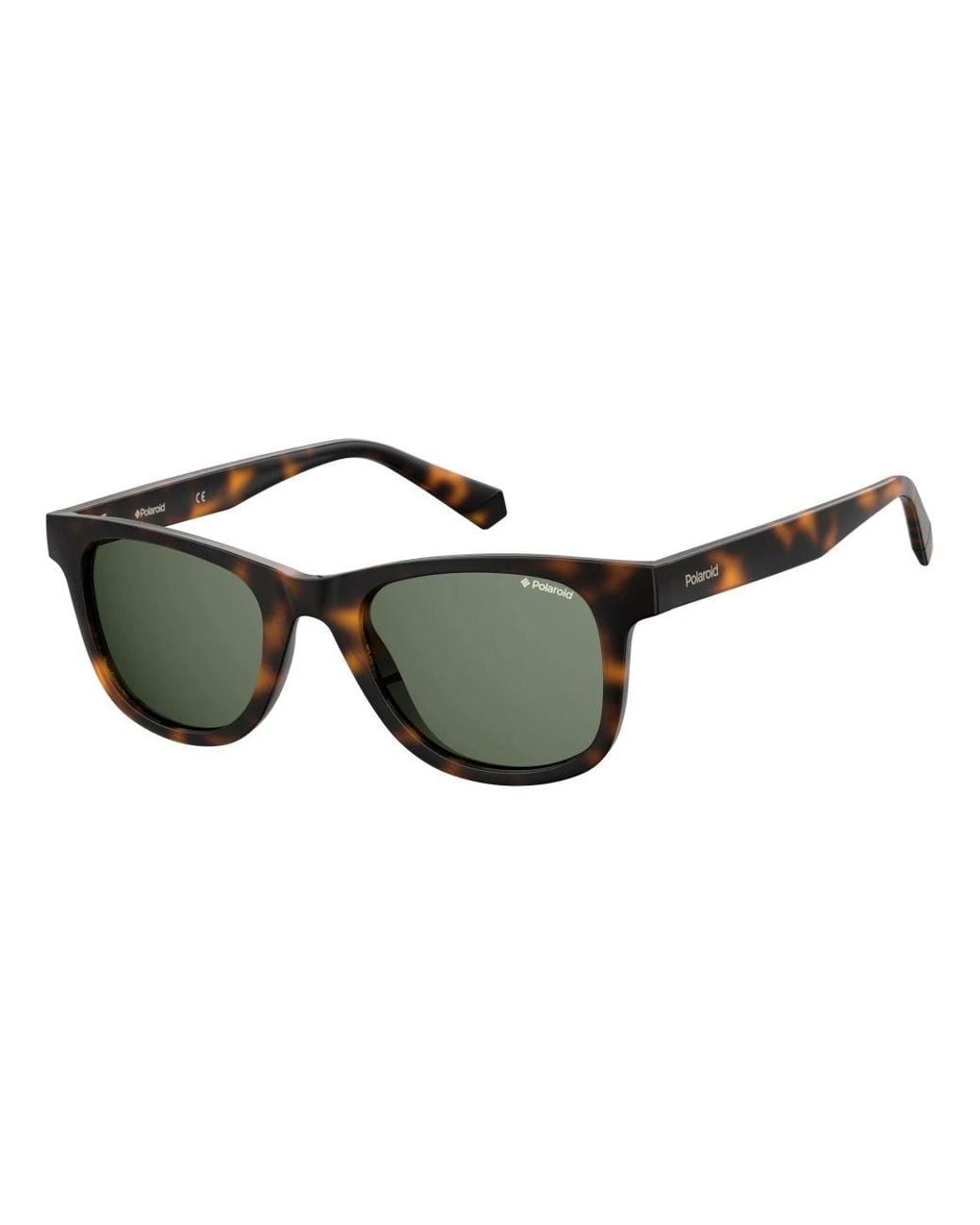 Polaroid Brown Sunglasses for men
