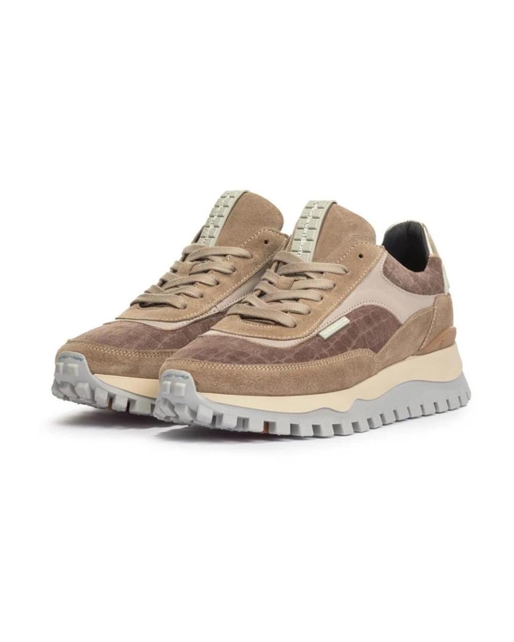 van Bommel Brown Grommi