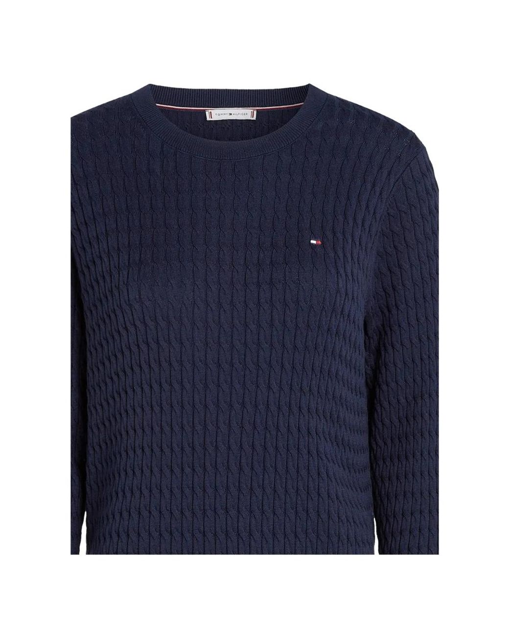 Tommy Hilfiger Blue Round-Neck Knitwear