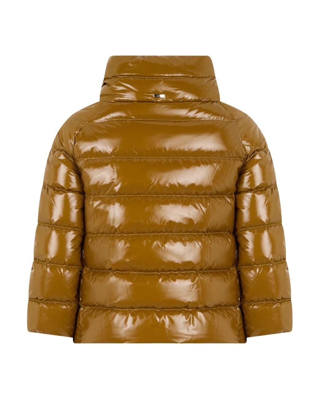 Winter Jackets Herno de color Brown