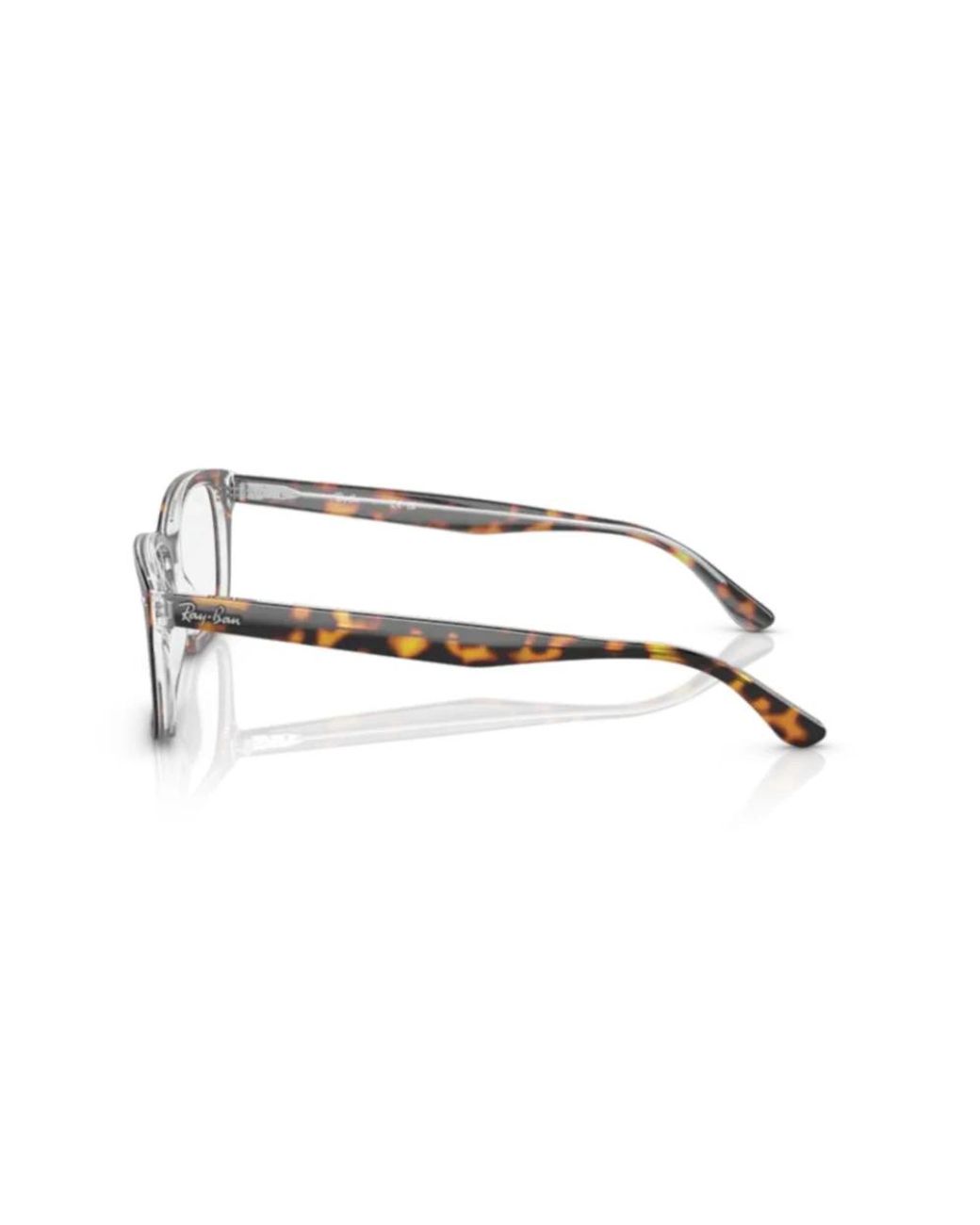 Ray-Ban Brown Glasses