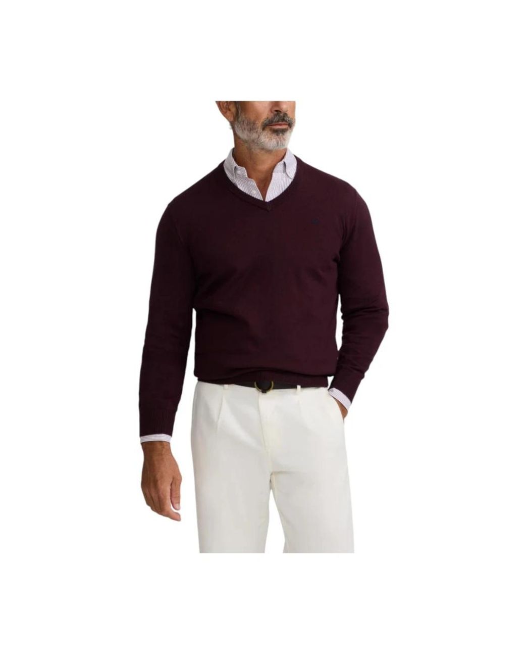 Silbon Purple V-Neck Knitwear for men