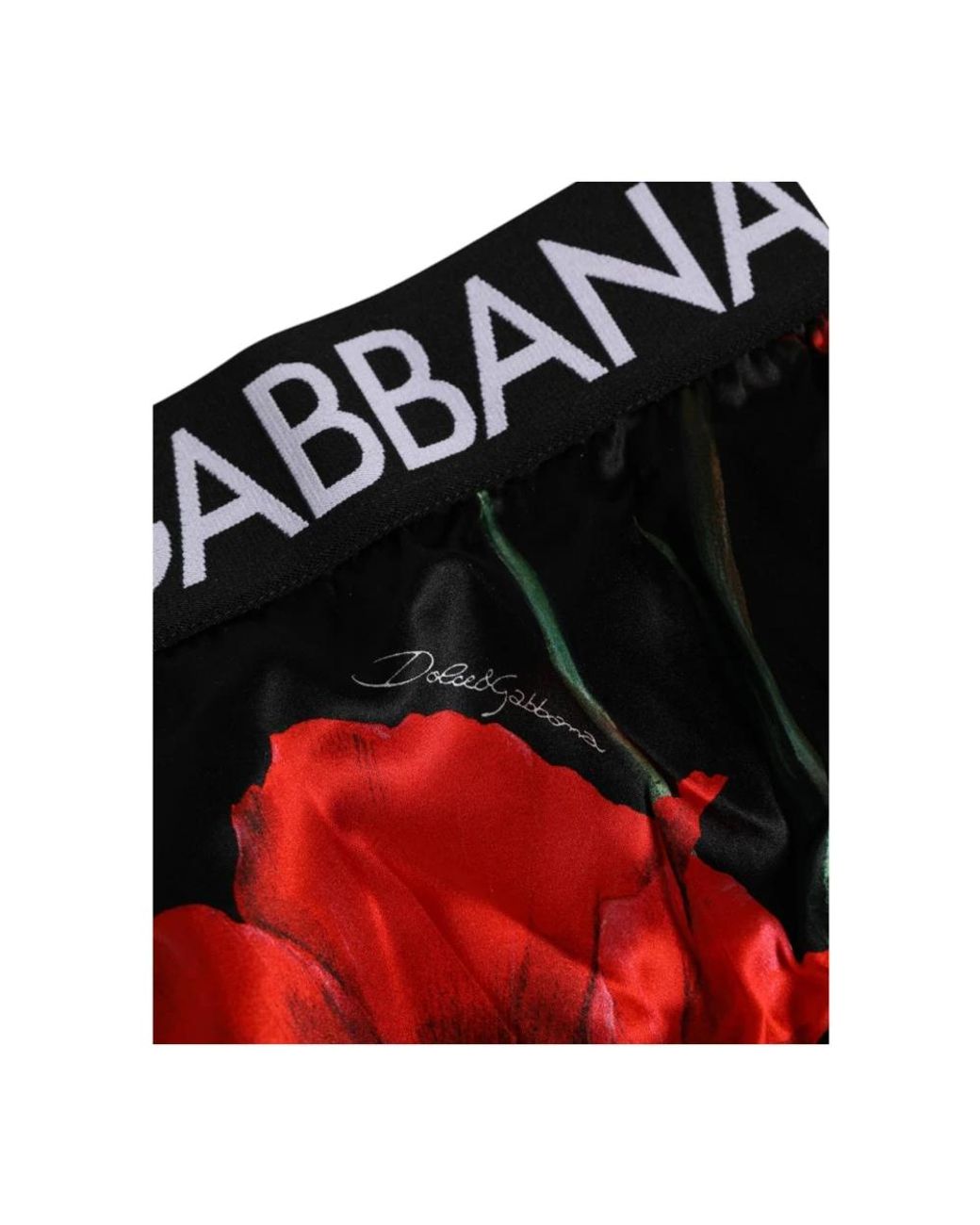 Dolce & Gabbana Black Underpants