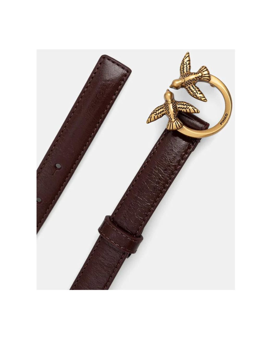 Belts Pinko de color Brown