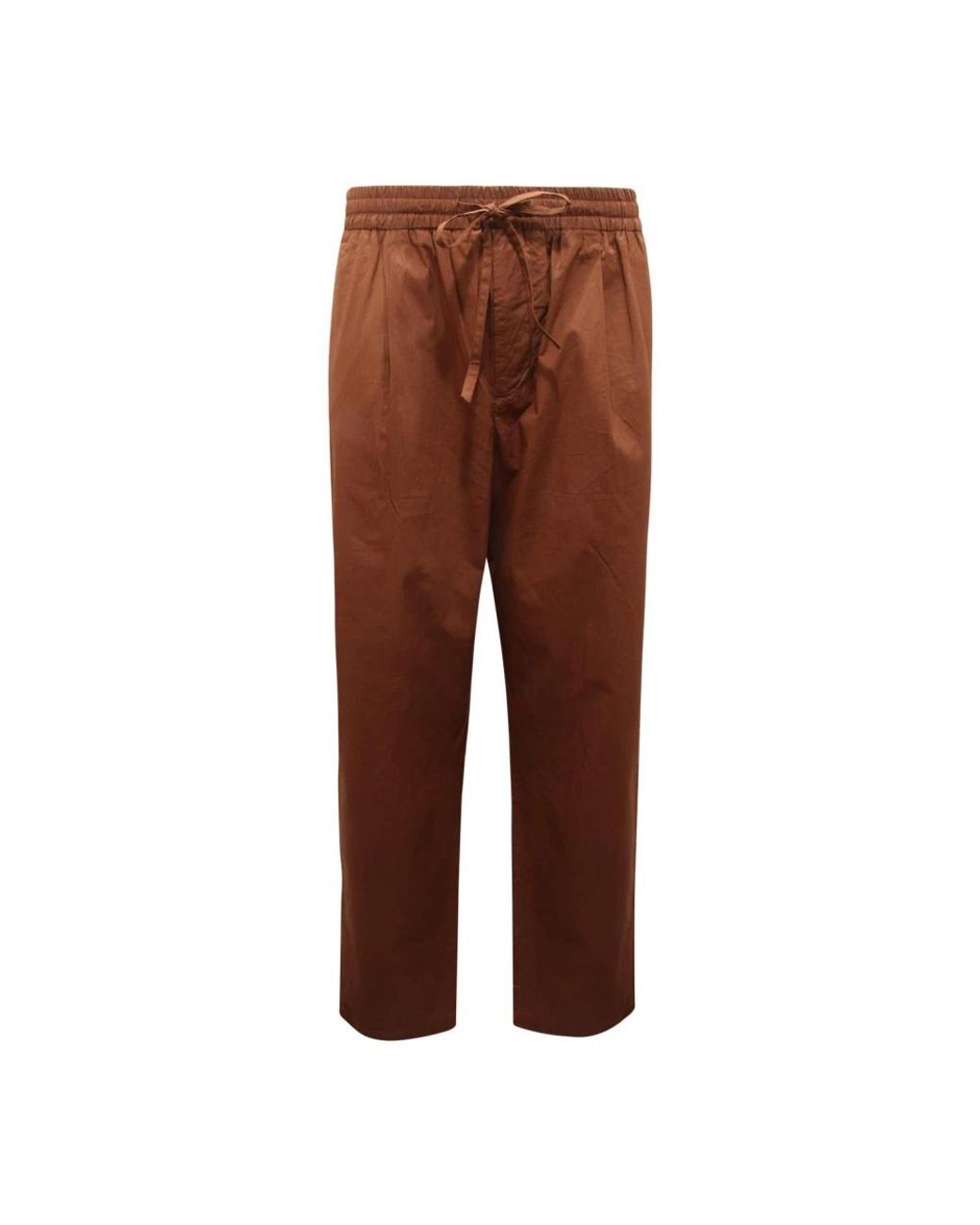 Amaranto Brown Straight Trousers for men