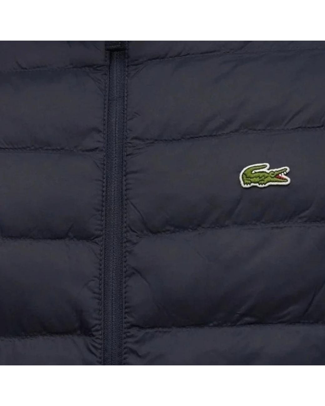 Vests di Lacoste in Blue da Uomo