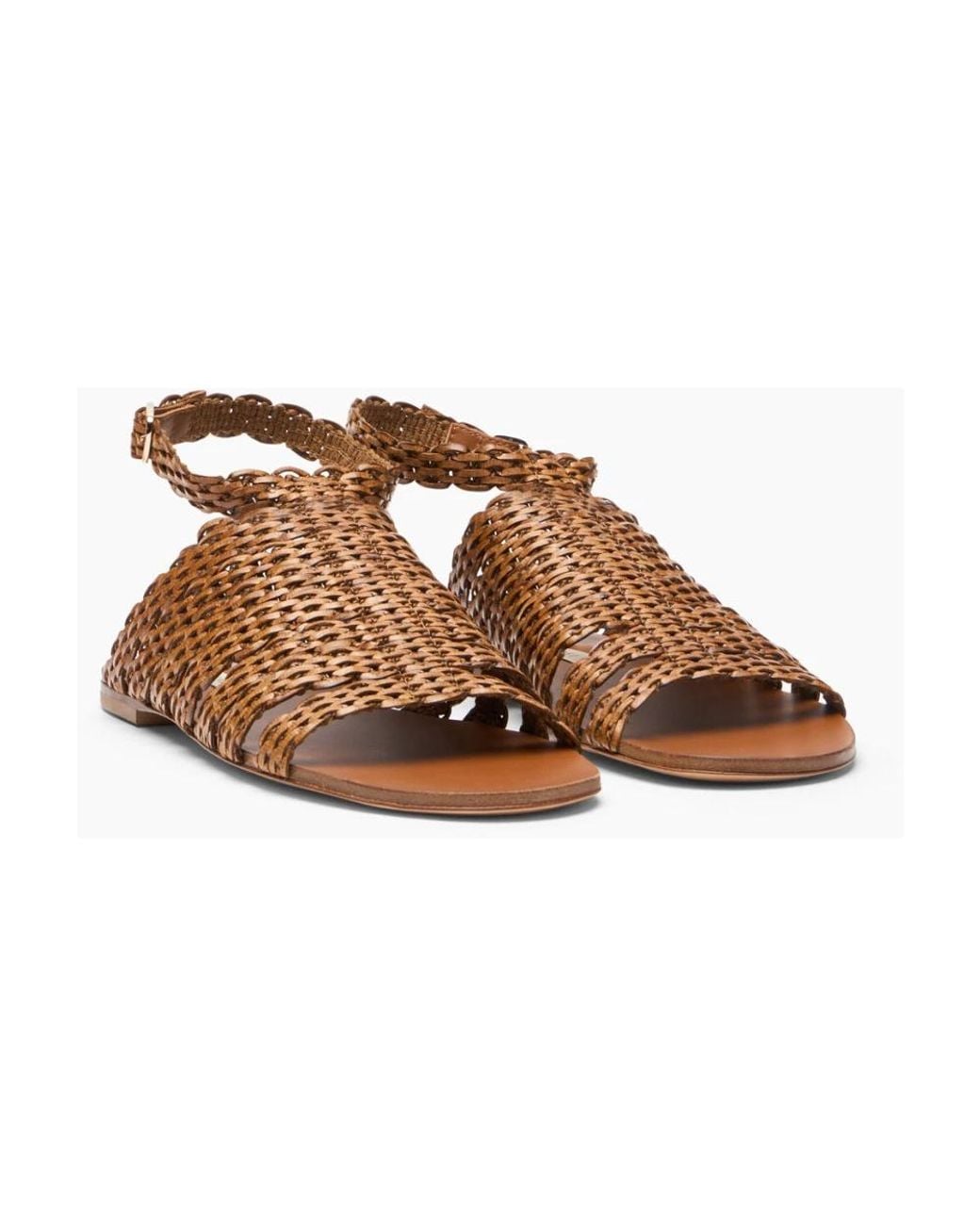 Casadei Brown Avenida Flat Sandal