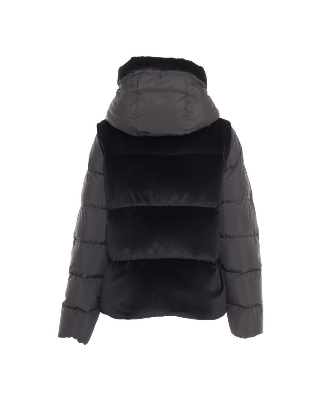 Winter Jackets di Moorer in Black