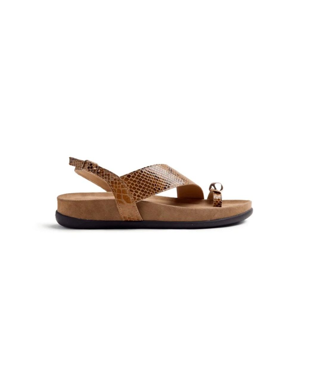 Gioseppo Brown Flat Sandals