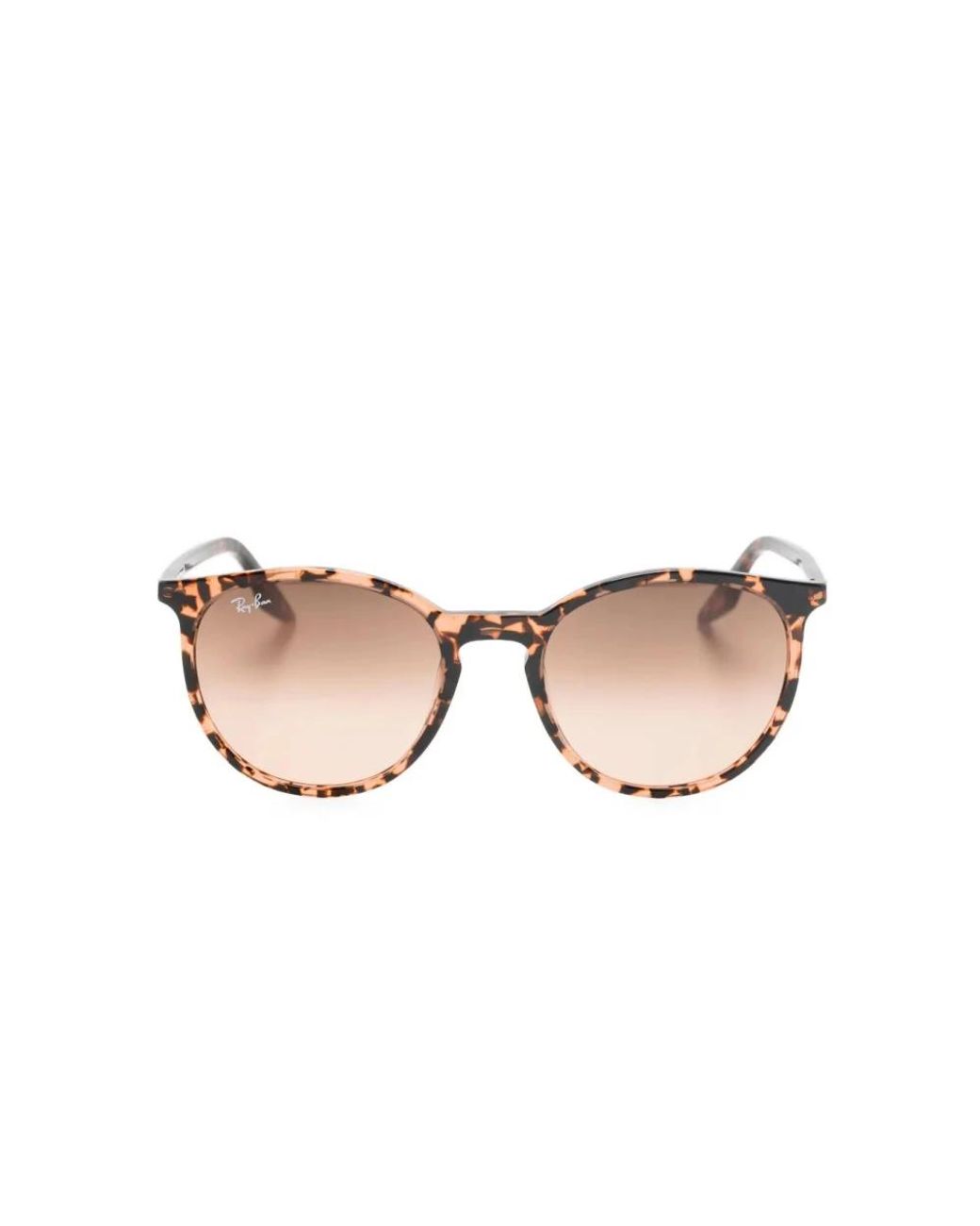Ray-Ban Brown Sunglasses