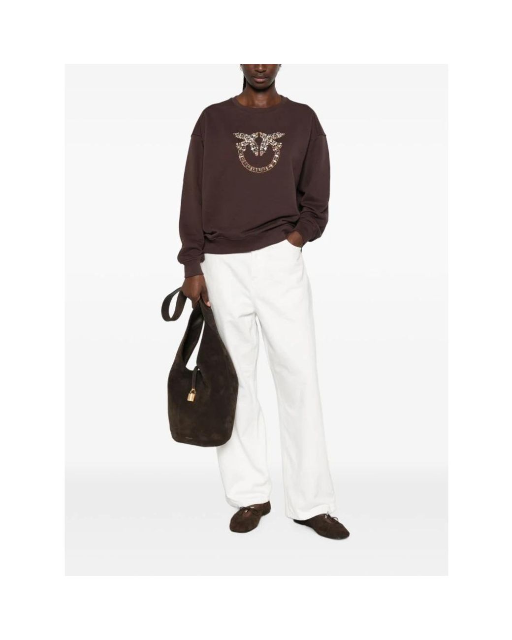 Pinko Brown Sweatshirts