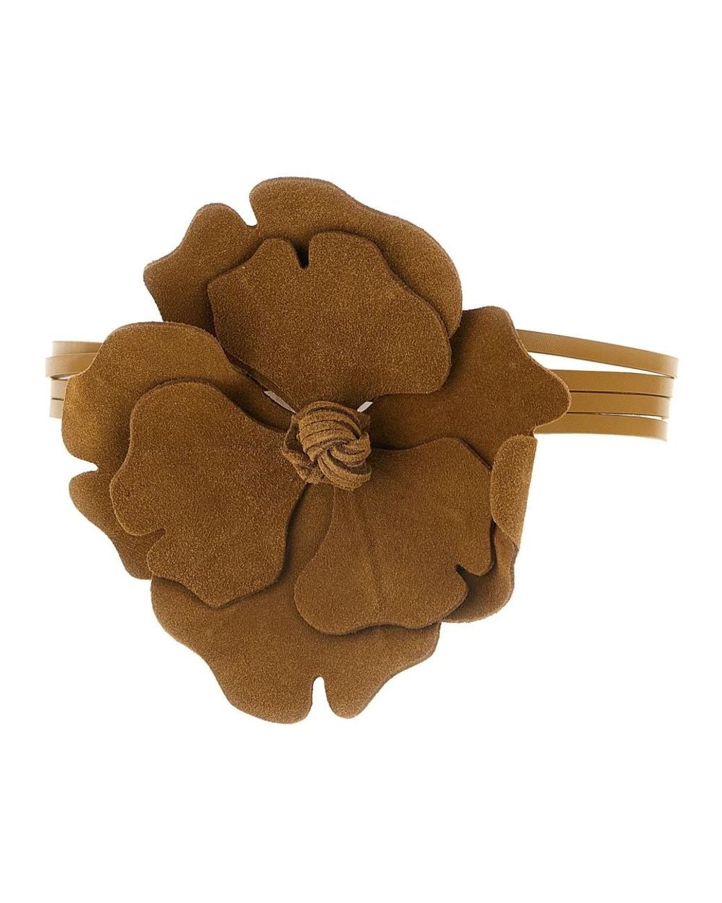Belts Pinko de color Brown
