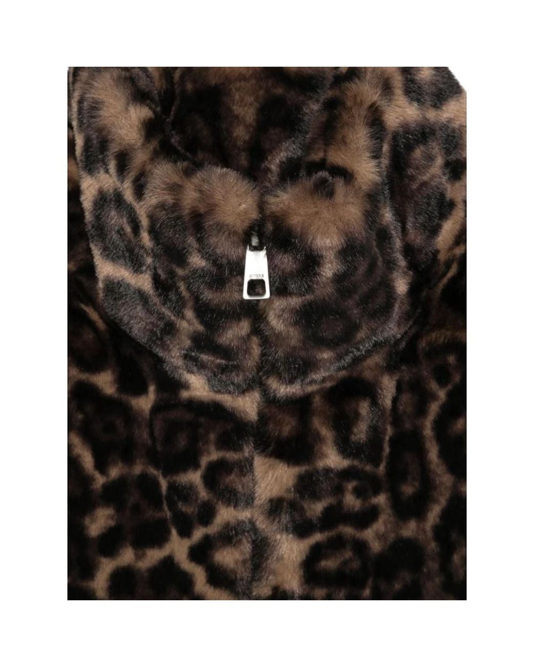 Apparis Black Winter Scarves