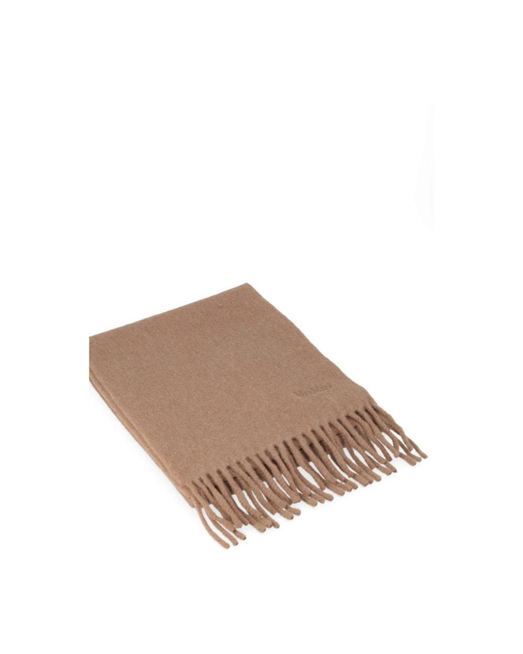 Max Mara Brown Winter Scarves