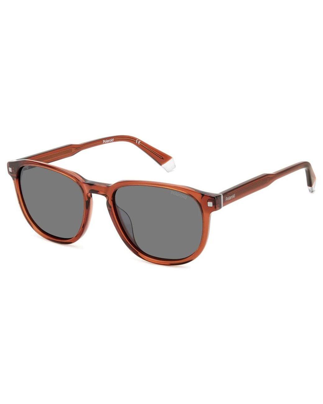 Polaroid Brown Sunglasses for men