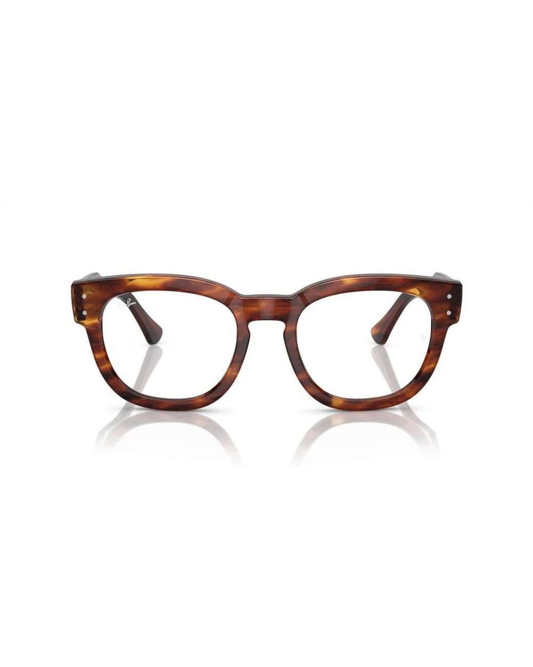 Ray-Ban Brown Glasses