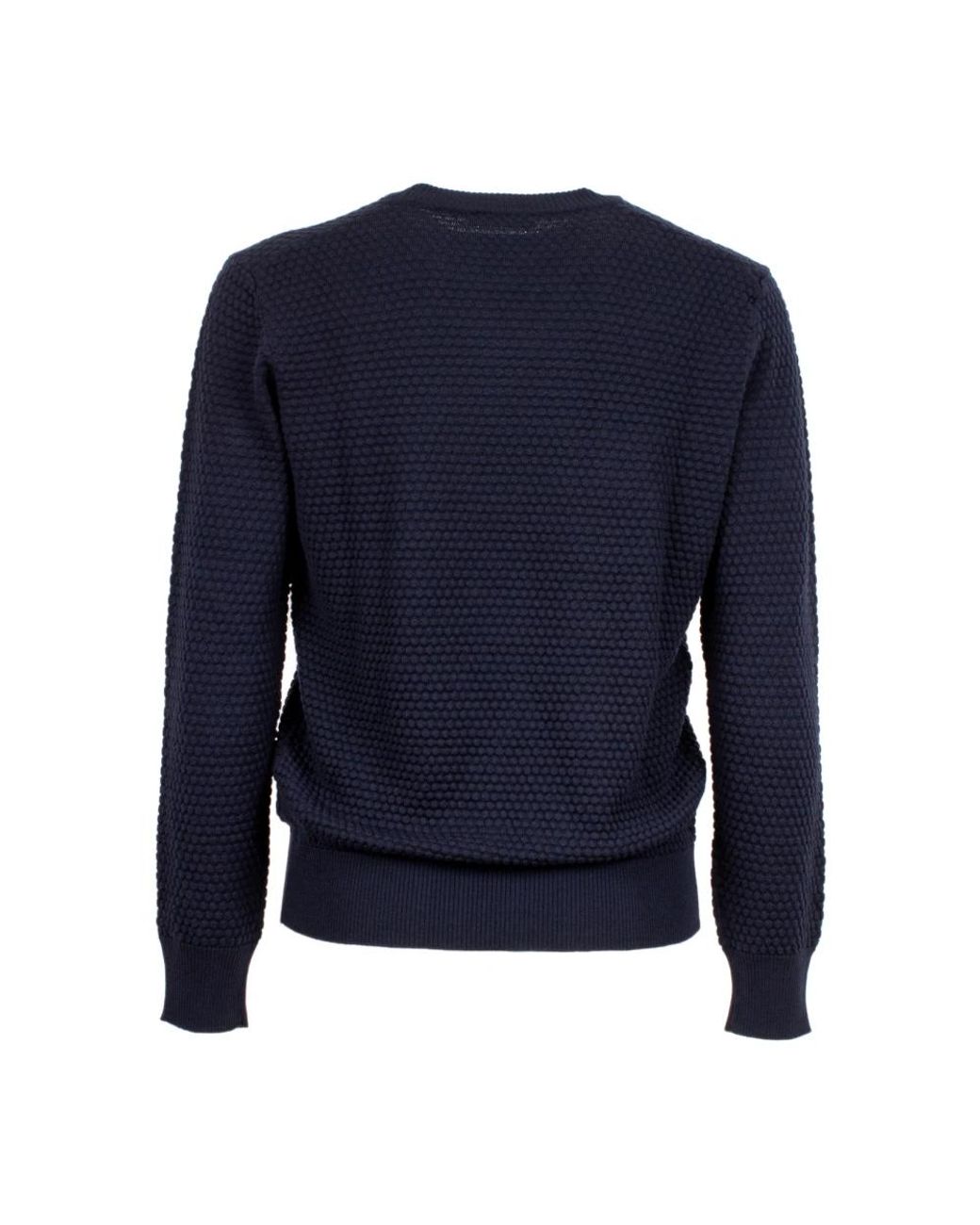 Kangra Blue Round-Neck Knitwear for men