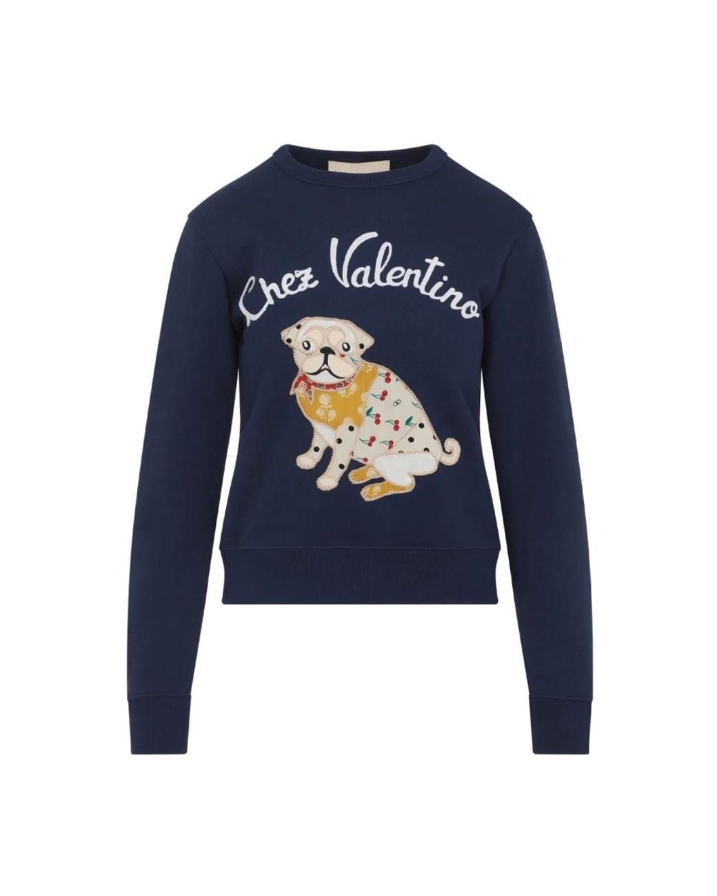Valentino Blue Sweatshirts