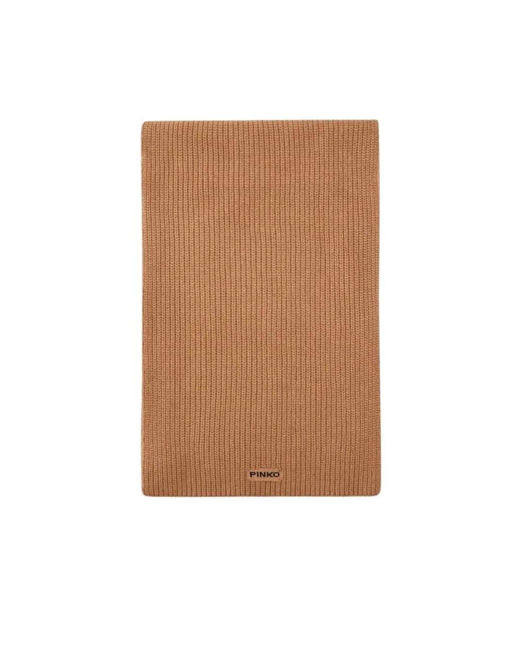 Pinko Brown Winter Scarves