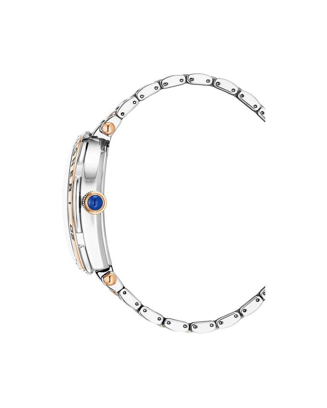 Aigner Metallic Watches