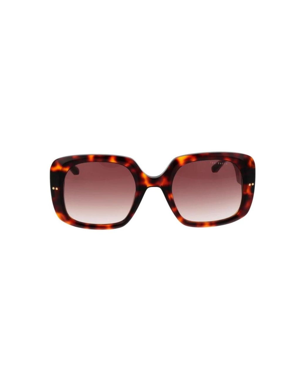 Ted Baker Brown Sunglasses