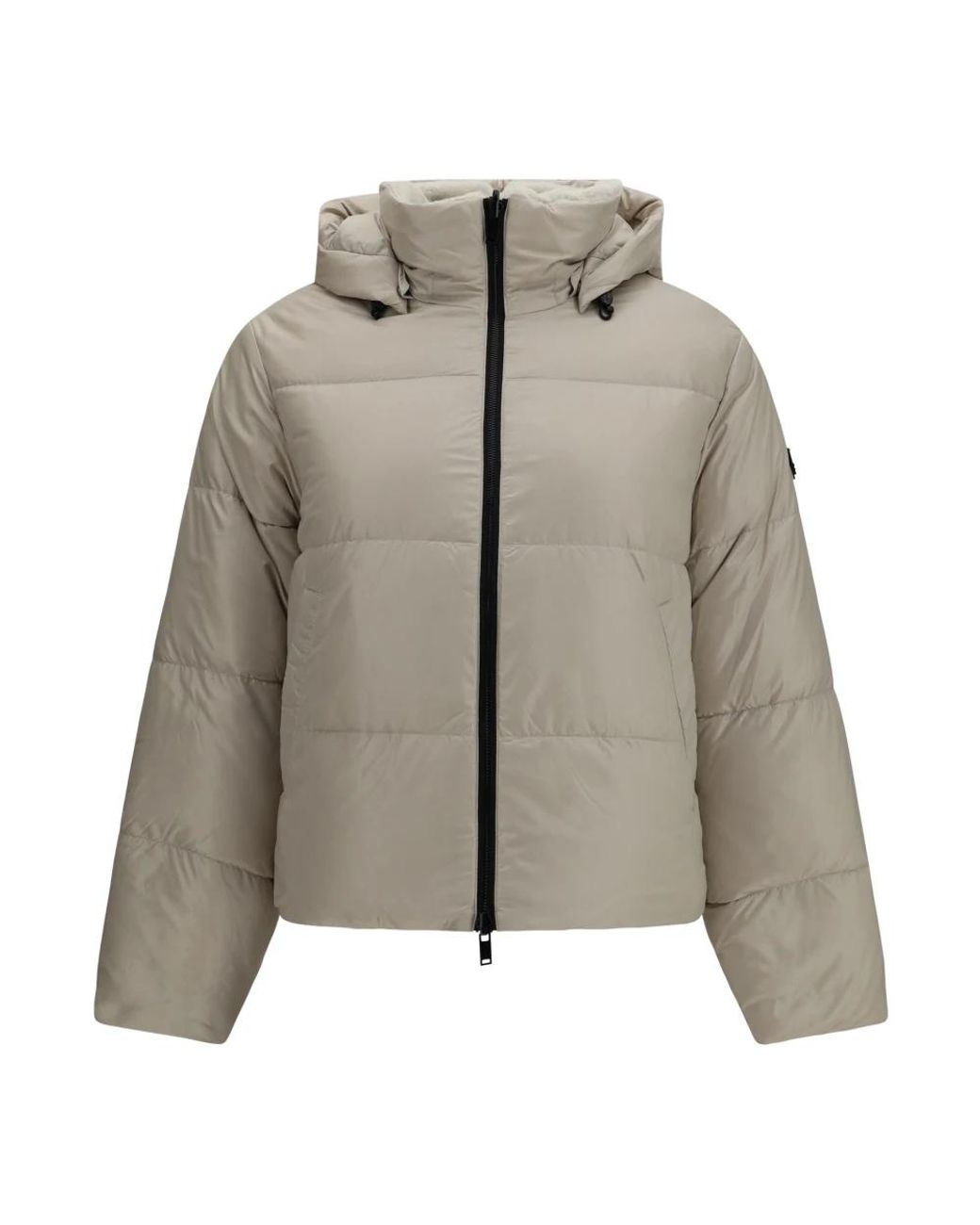 Winter Jackets Moose Knuckles en coloris Gray