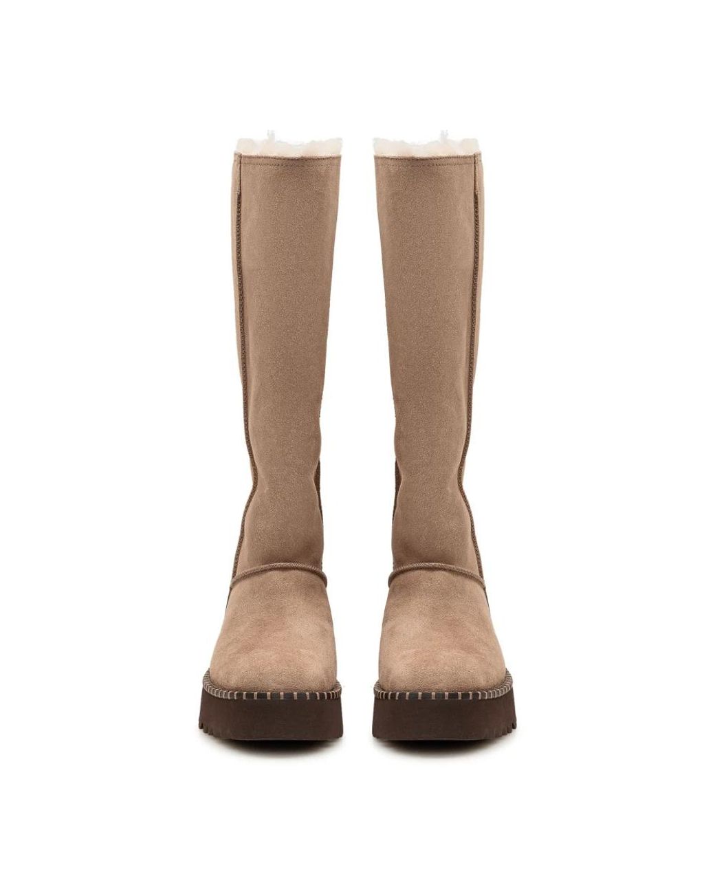 Ugg Brown Uptowner Tall Boot