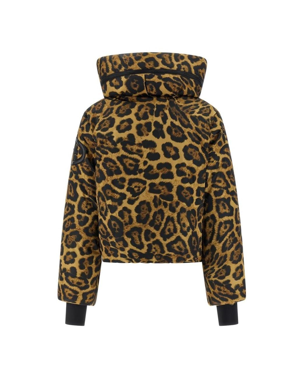 Ski Jackets Goldbergh de color Green